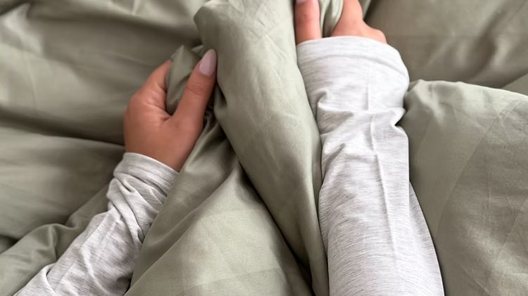 כותנה מצרית